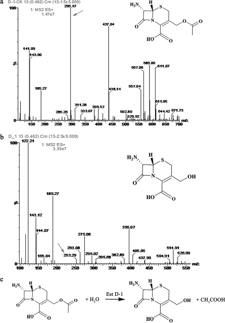 FIG 4