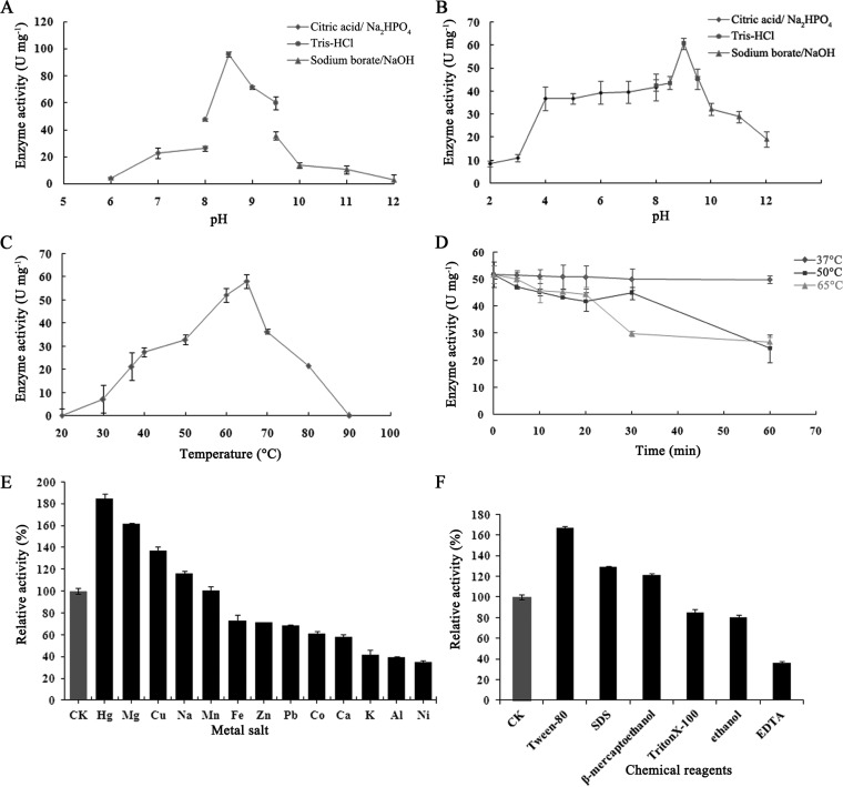 FIG 3