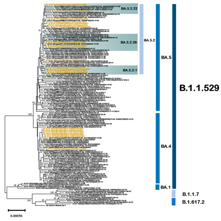 Figure 7