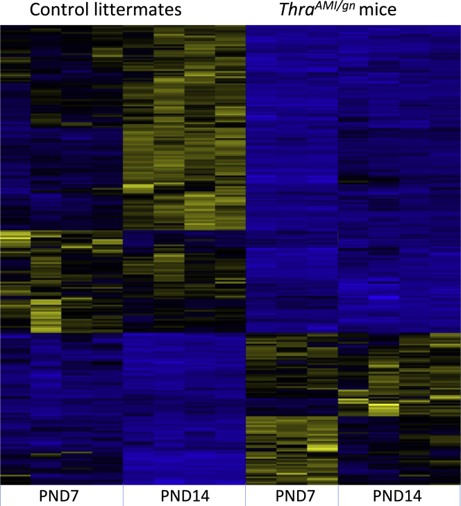 Figure 5