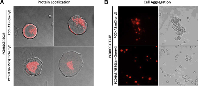 Figure 2: