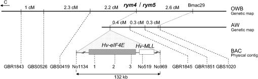 Figure 1.—