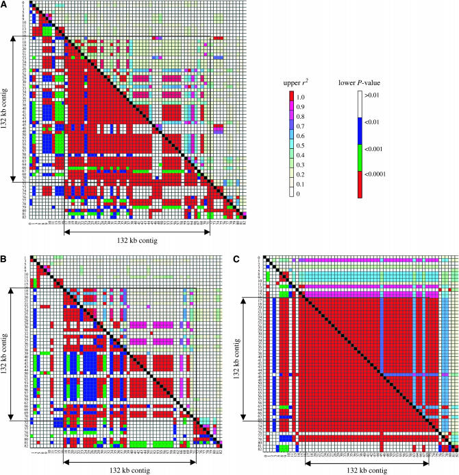 Figure 4.—