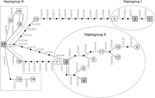 Figure 7.—