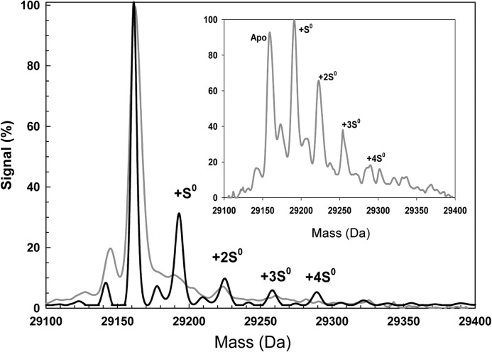 FIGURE 7.