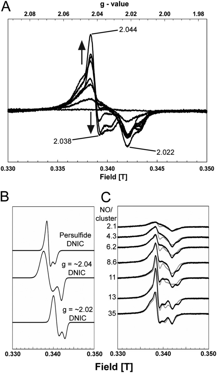 FIGURE 3.