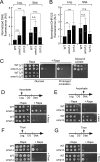 FIG 6