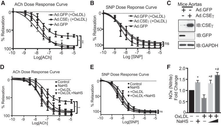 Fig. 2.