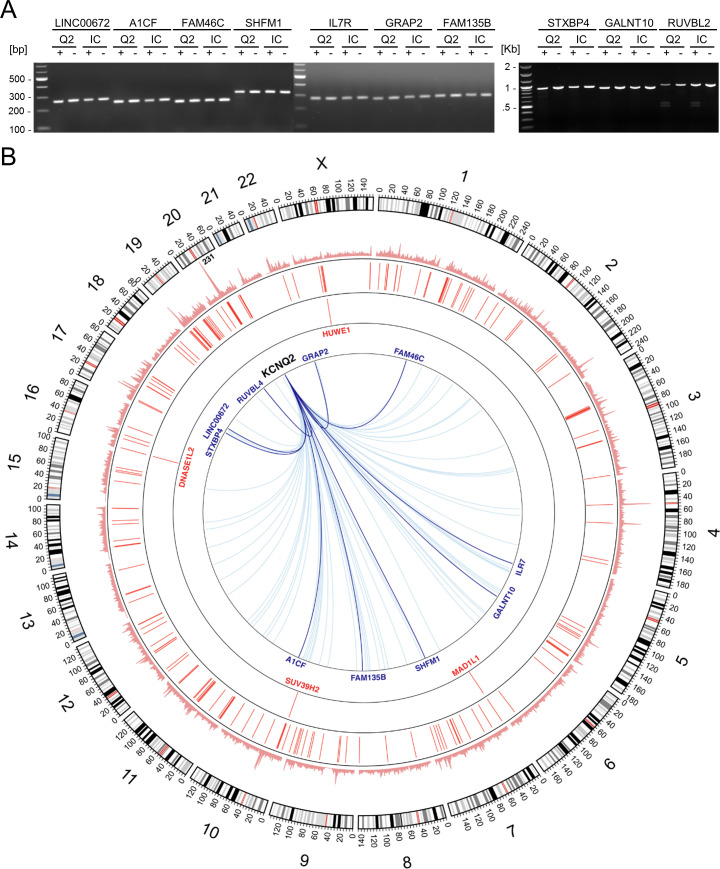 Figure 1—figure supplement 3.