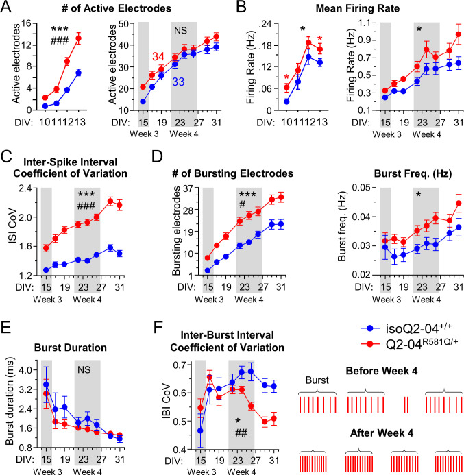 Figure 2—figure supplement 1.