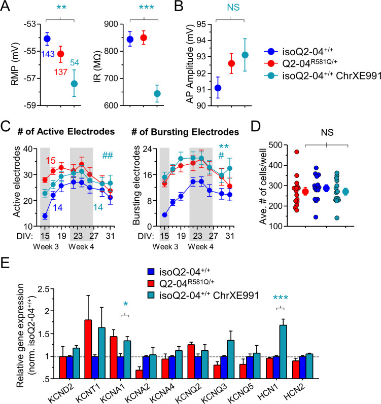 Figure 6—figure supplement 1.