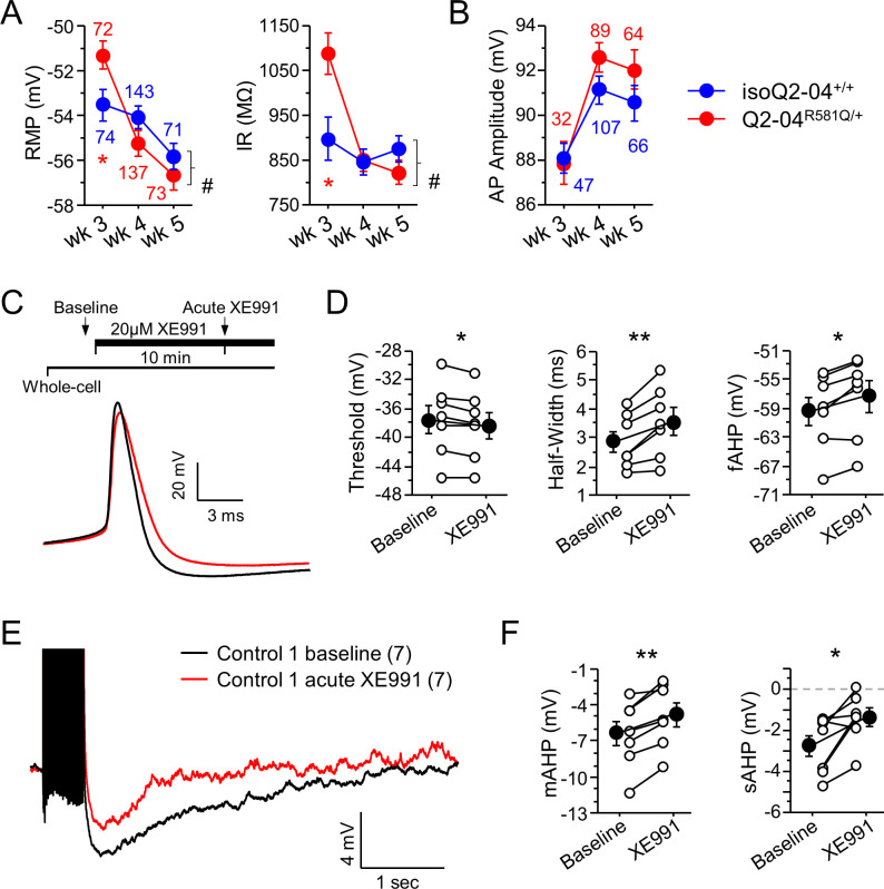 Figure 3—figure supplement 1.