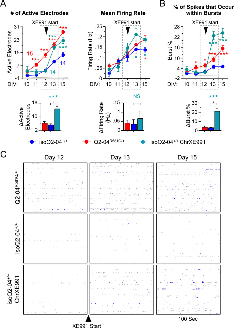 Figure 6—figure supplement 2.