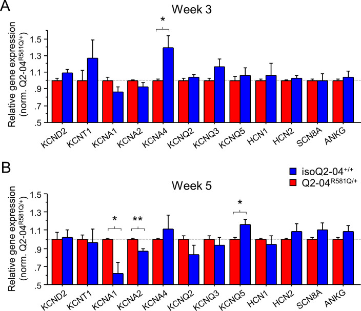 Figure 4—figure supplement 1.