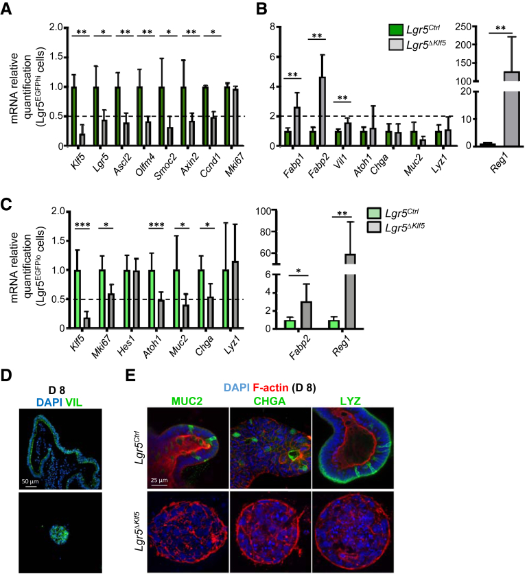 Figure 6