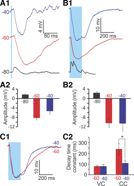 Fig. 7.