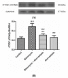 Figure 6.