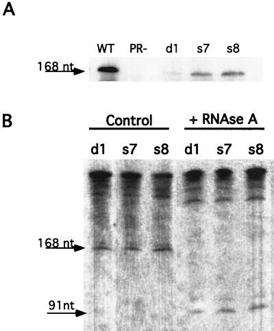 FIG. 8.