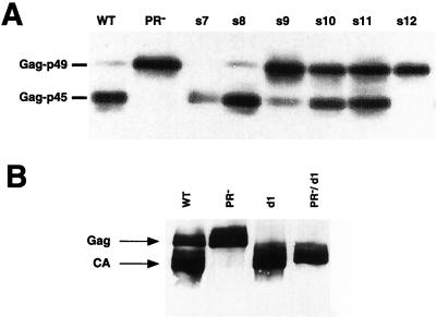 FIG. 2.