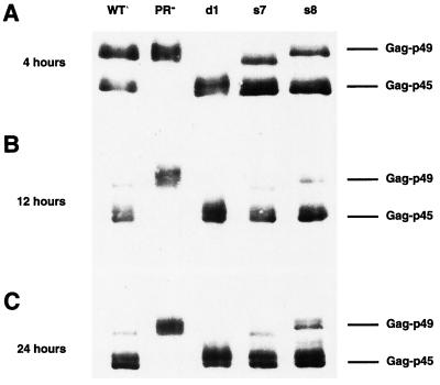 FIG. 3.