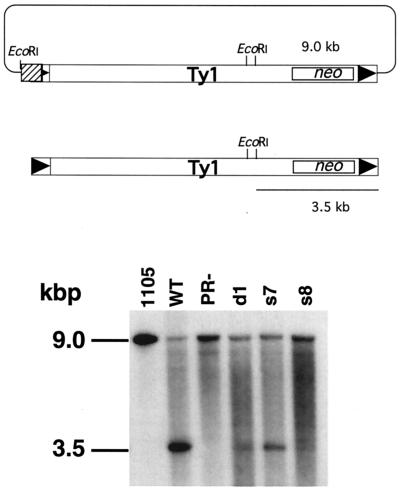 FIG. 5.