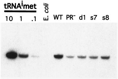 FIG. 9.