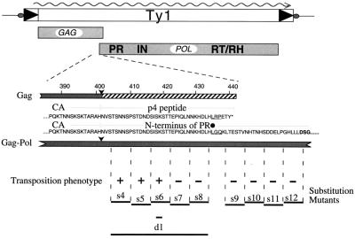 FIG. 1.