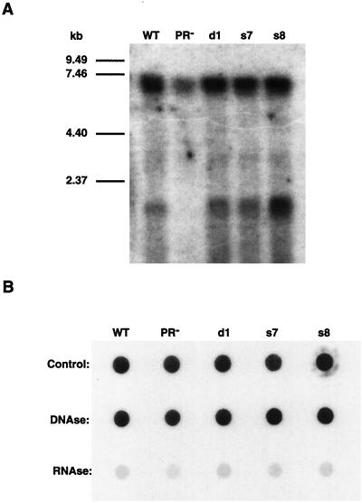 FIG. 7.