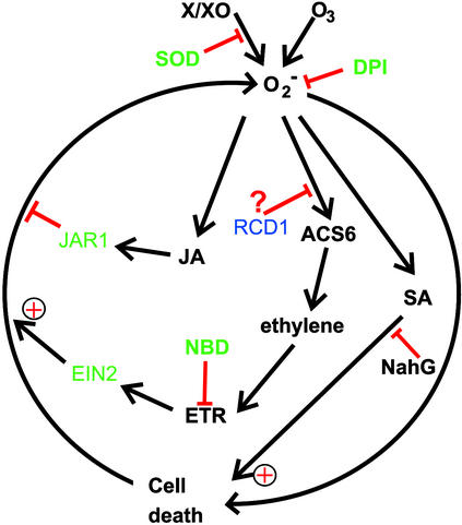 Figure 9.