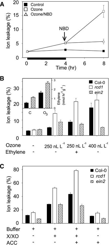 Figure 6.