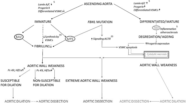 Fig. 4