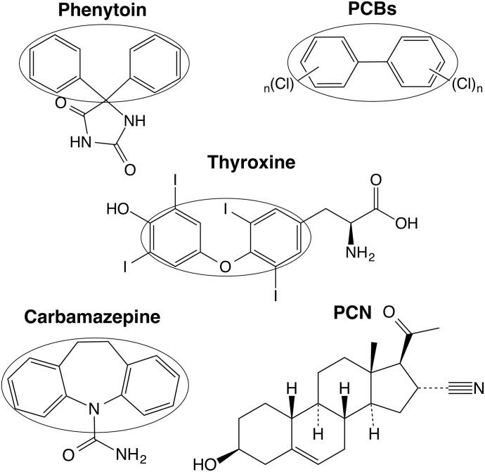 Fig. 7.