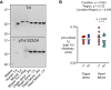 Figure 7