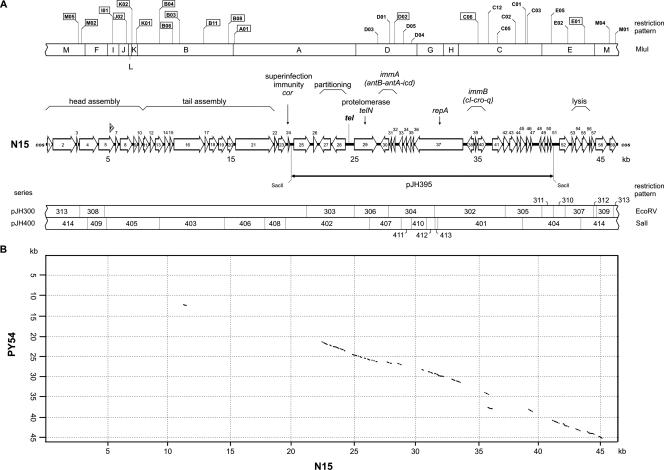 FIG. 2.