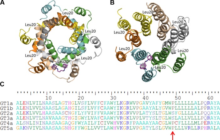 Figure 5