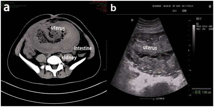 Figure 2.