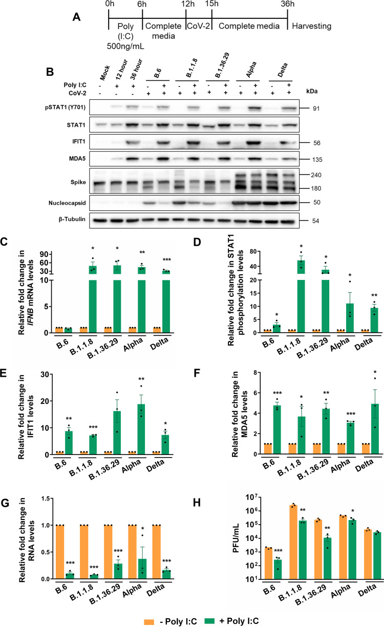 FIG 3