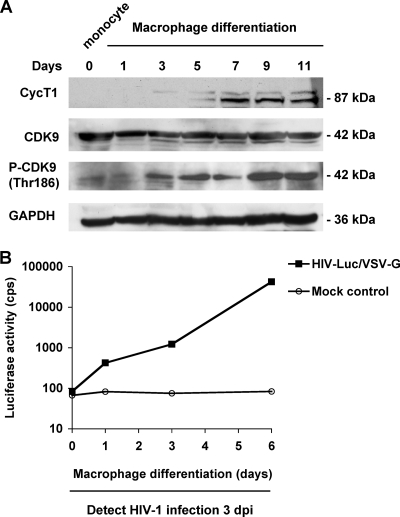 FIG. 7.