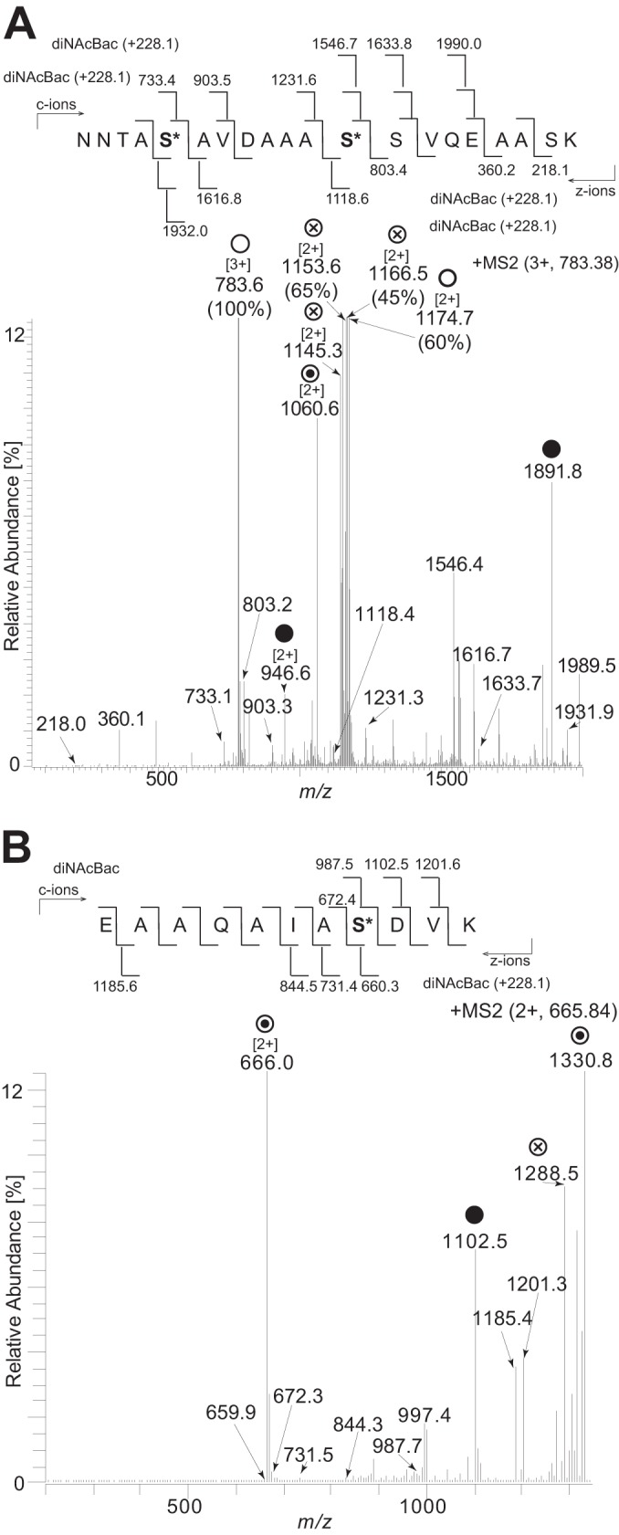 FIG 6