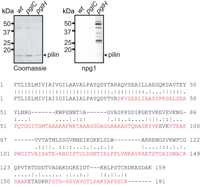 FIG 7