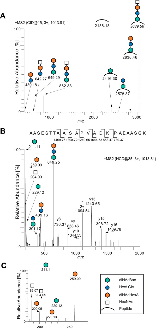 FIG 4