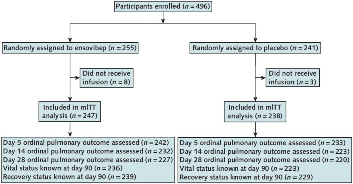 Figure 1. Study flow diagram. mITT = modified intention-to-treat.