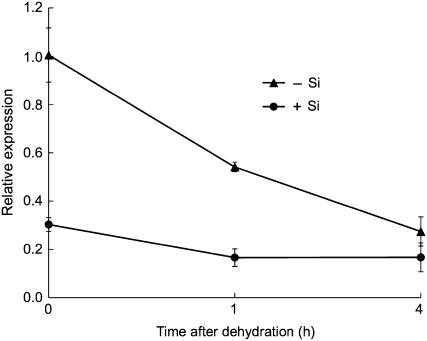 Figure 6.