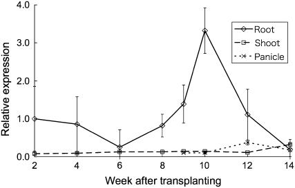 Figure 5.