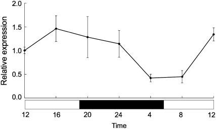 Figure 4.