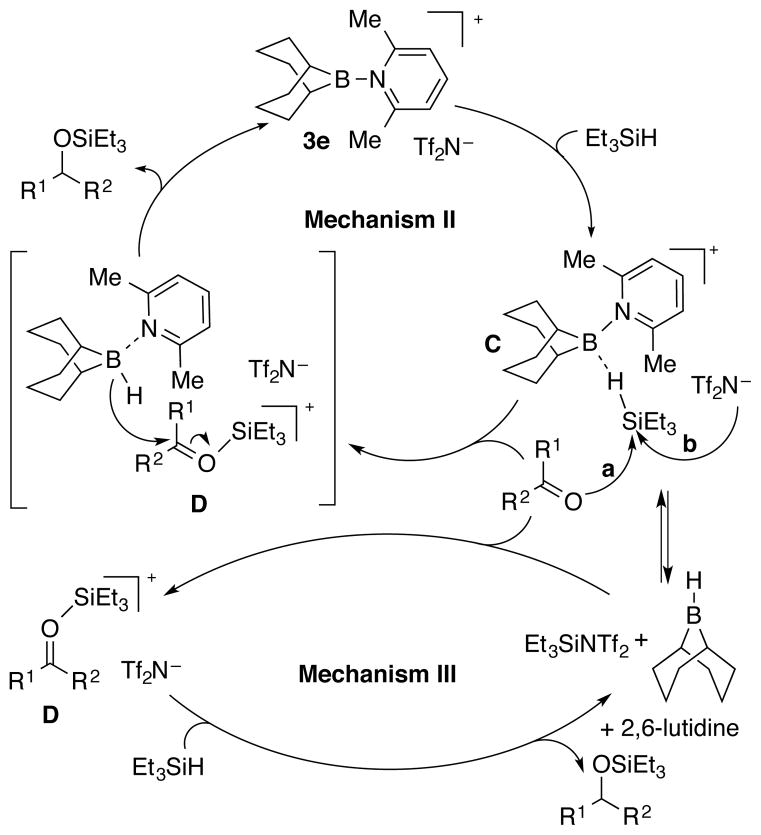 Scheme 5