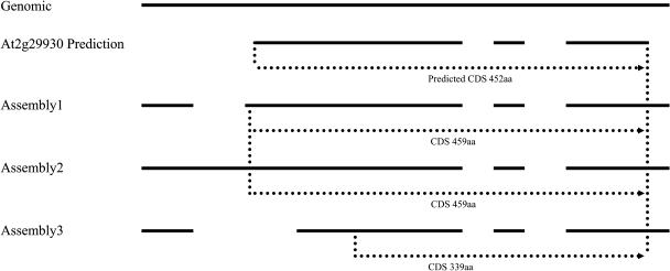 Figure 3.