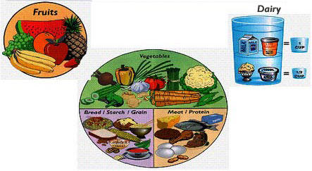 Diagram of the Idaho Plate Method