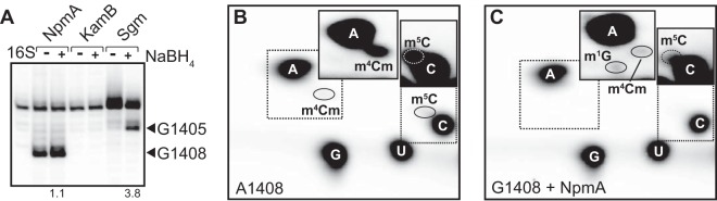 FIG 2