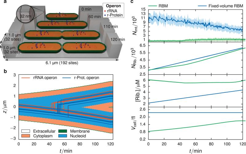 FIGURE 4